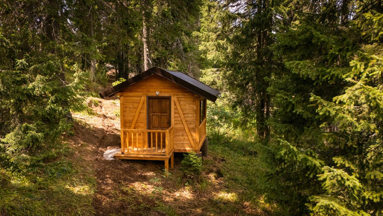 Api-terapija na Kopaoniku - Gorski Hotel & Spa