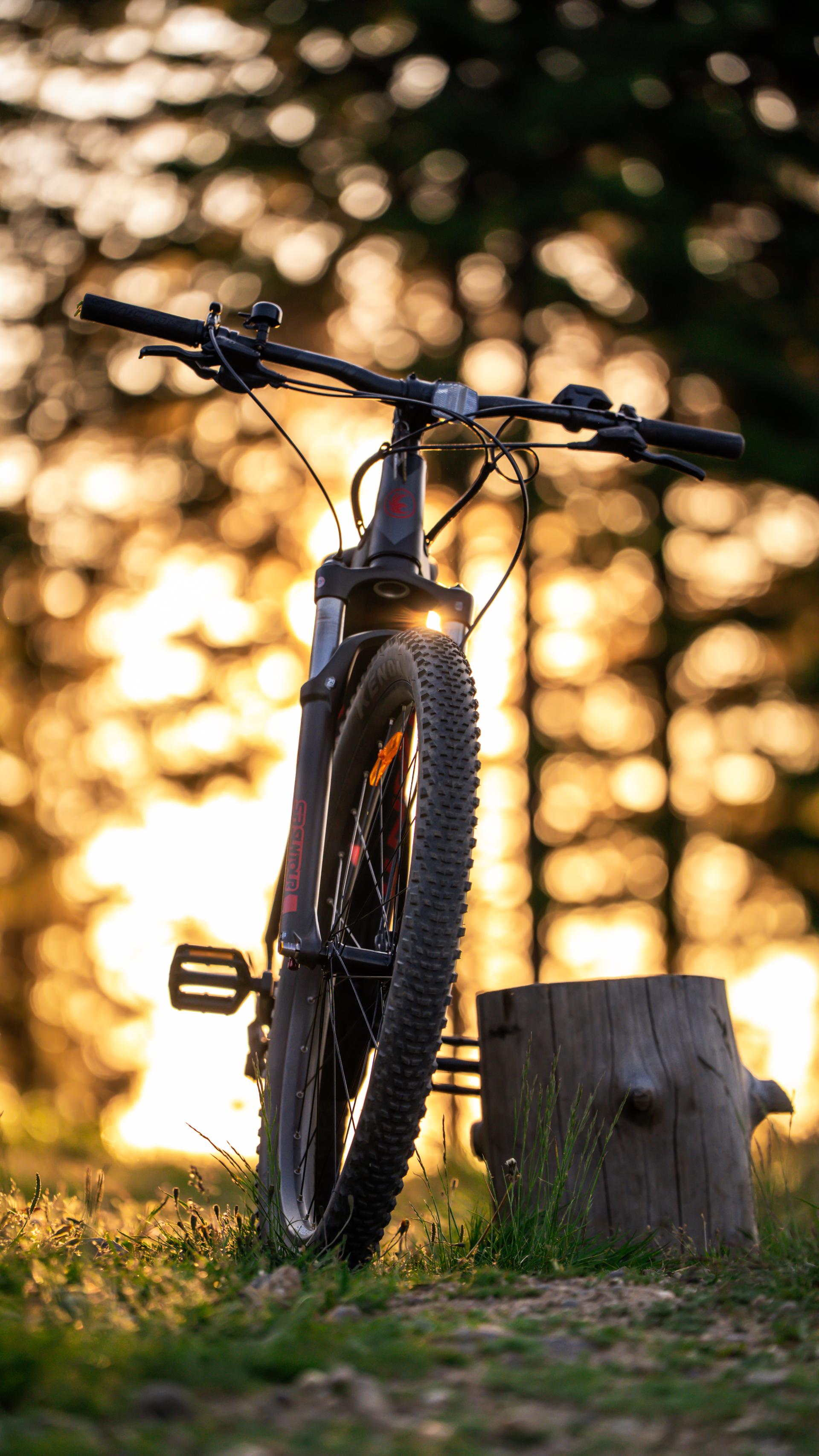 E-bike ture na Kopaoniku