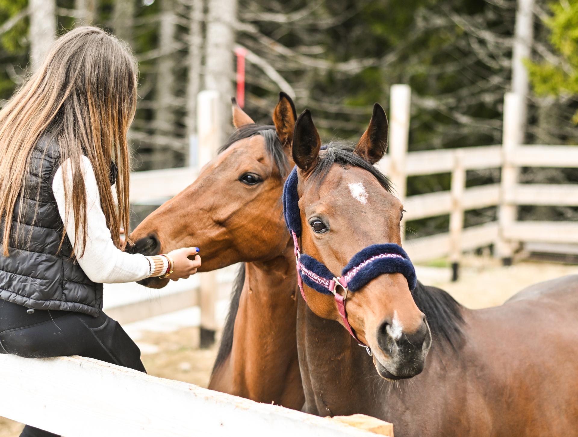Gorski Riding Club